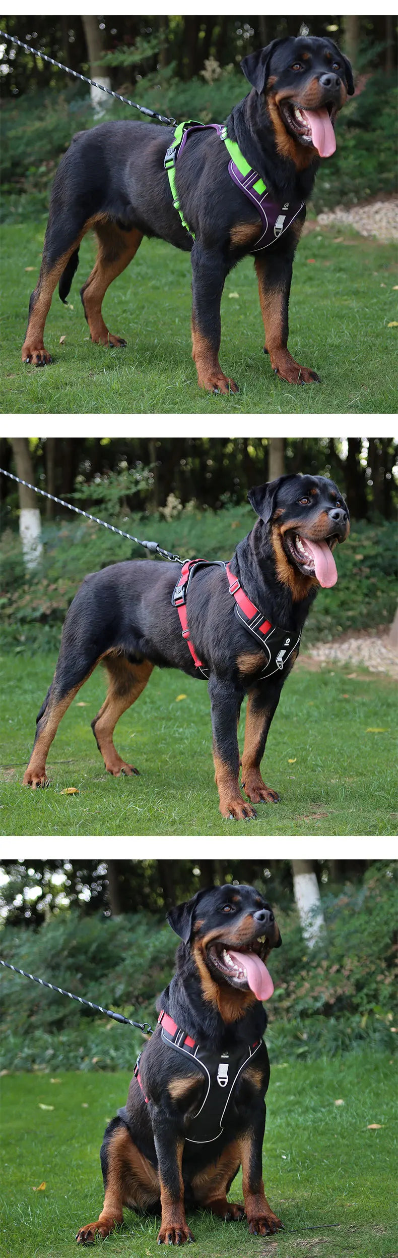 Adjustable Reflective Dog Harness – Durable Oxford Fabric Vest for Medium & Large Dogs (Labrador, Hound, etc.) – Comfortable No-Pull Design for Daily Walks & Training