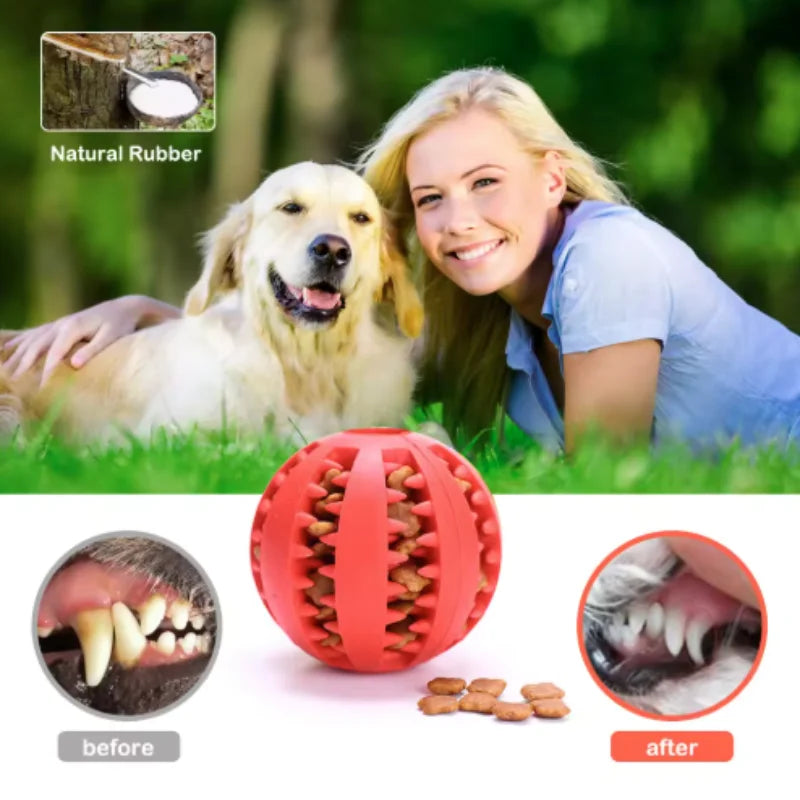 Interactive Rubber Ball for Dogs – Chew Toy & Treat Feeder for Healthy Teeth