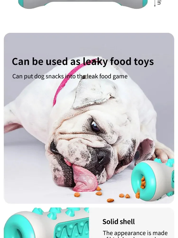 Dog Dental Chew Toy — Toothbrush Stick for Healthy Teeth & Fresh Breath