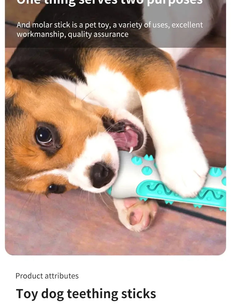 Dog Dental Chew Toy — Toothbrush Stick for Healthy Teeth & Fresh Breath