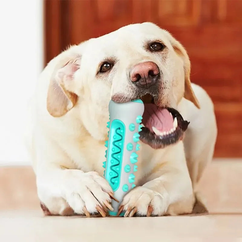 Dog Dental Chew Toy — Toothbrush Stick for Healthy Teeth & Fresh Breath