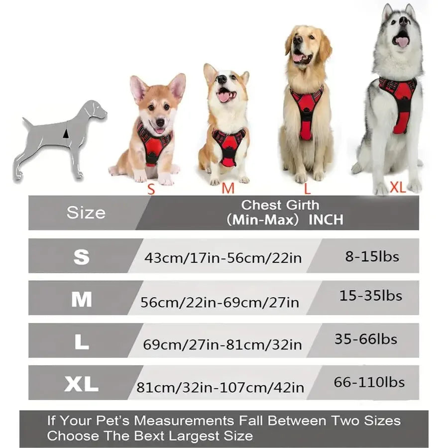 Premium Leather Dog Harness & Leash Set – Adjustable Comfort Fit