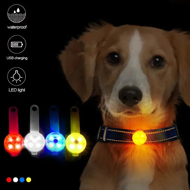 LED Safety Collar – USB Rechargeable Waterproof Light for Pets