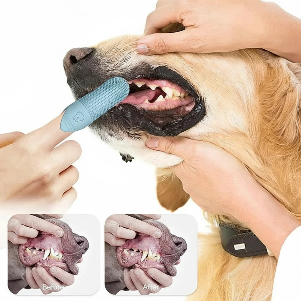 360° Silicone Finger Toothbrush for Dogs & Cats – Gentle Dental Care